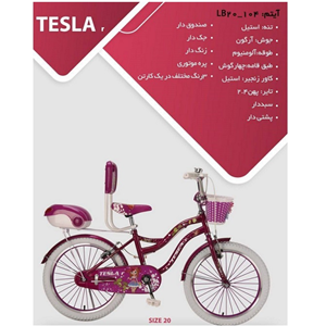 دوچرخه TESLAr آیتم LB20_104 سایز 20-اسباب بازی